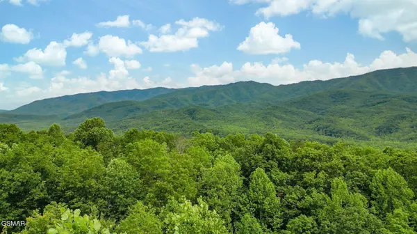 3710 Weber Road #203C, Gatlinburg, TN 37738