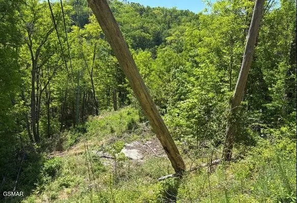 746 Ski Mountain Road, Gatlinburg, TN 37738