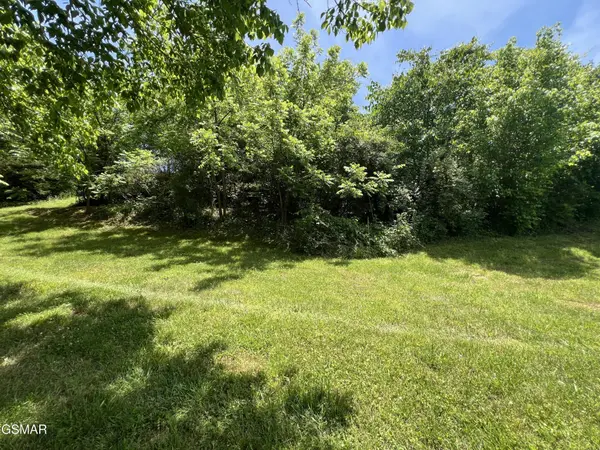 4 Wilson Road, Sevierville, TN 37862