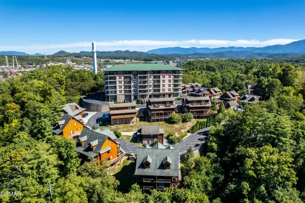 442 Big Bear Way, Pigeon Forge, TN 37863