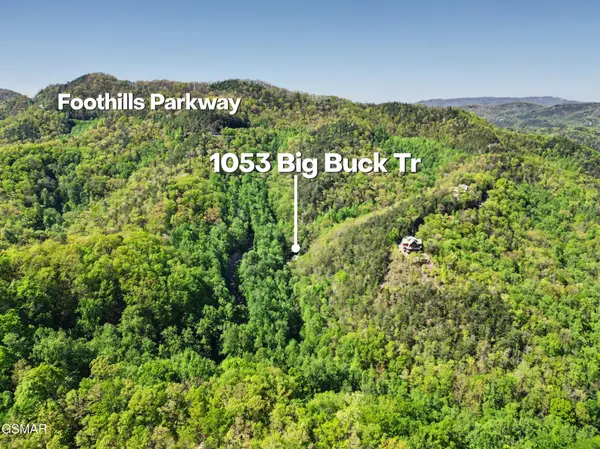 1053 Big Buck Trail, Townsend, TN 37882