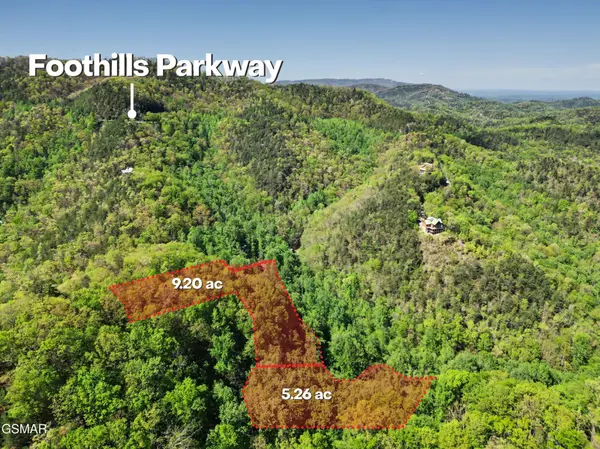 10171035 Big Buck Trail, Townsend, TN 37882