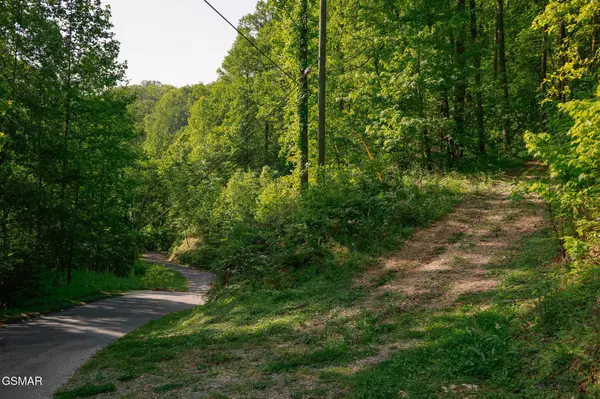 10171035 Big Buck Trail, Townsend, TN 37882