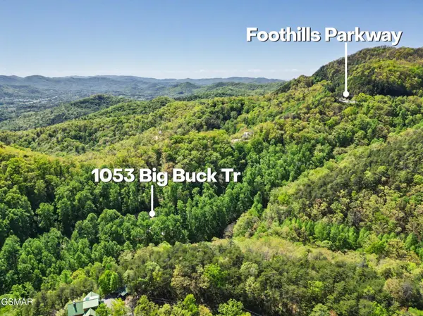 1053 Big Buck Trail, Townsend, TN 37882
