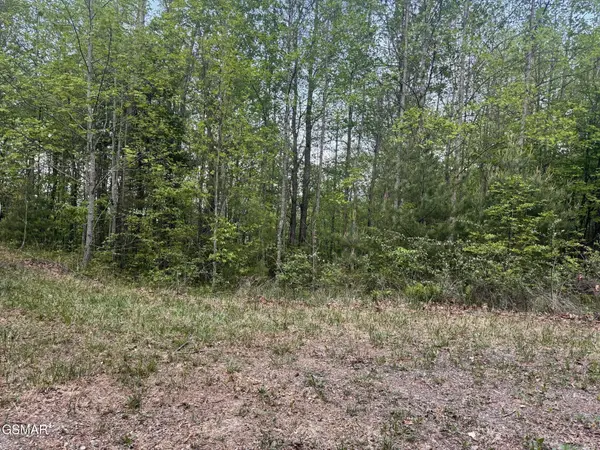 41 Black Maple Way, Del Rio, TN 37727