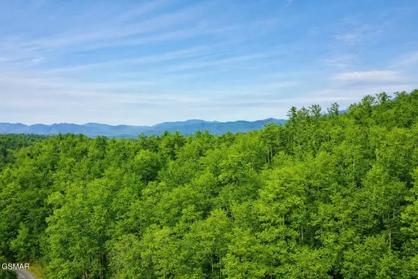 41 Black Maple Way, Del Rio, TN 37727