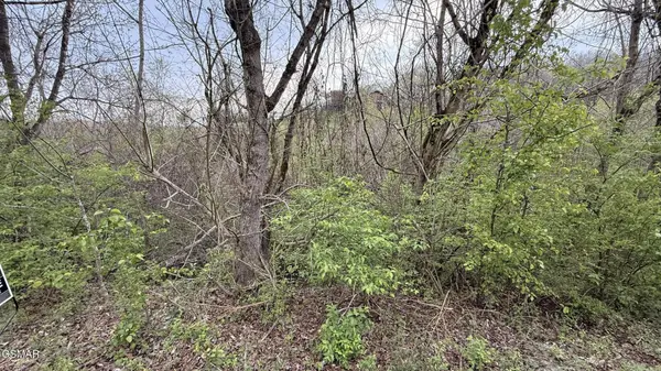 4 Hideaway Ridge Circle, Sevierville, TN 37862
