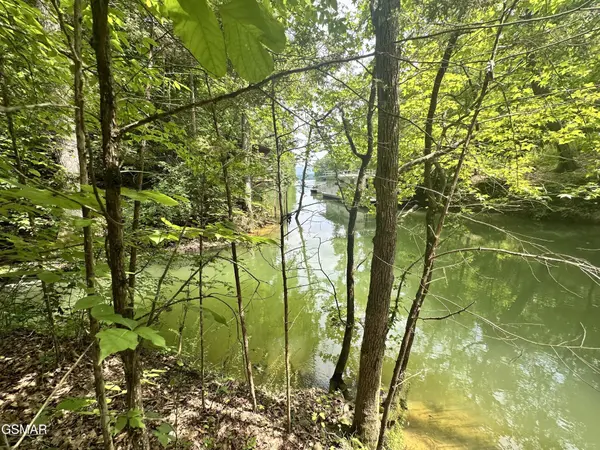 8 Woods Ridge Road, Dandridge, TN 37725