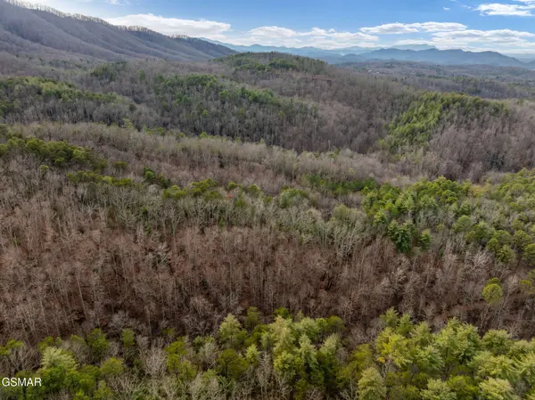 14 Paint Horse Way, Sevierville, TN 37876
