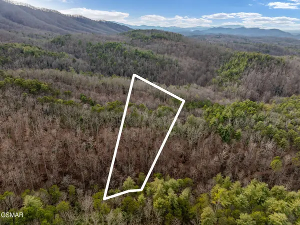 14 Paint Horse Way, Sevierville, TN 37876