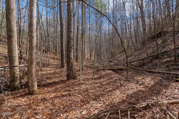 14 Paint Horse Way, Sevierville, TN 37876