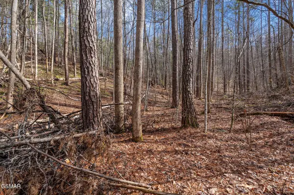 14 Paint Horse Way, Sevierville, TN 37876