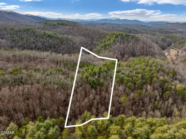 12 Paint Horse Way, Sevierville, TN 37876