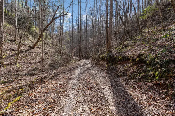 12 Paint Horse Way, Sevierville, TN 37876