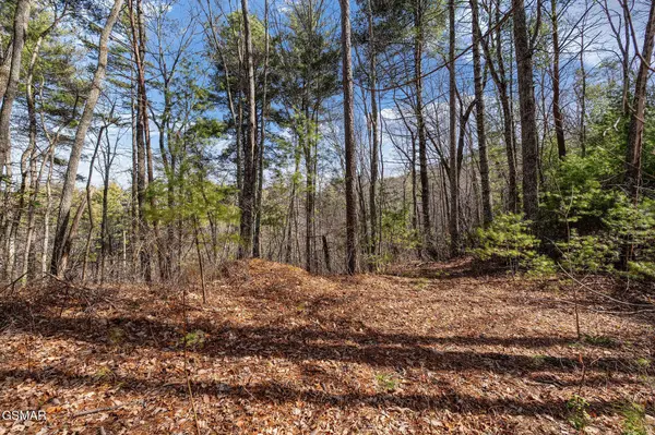 12 Paint Horse Way, Sevierville, TN 37876