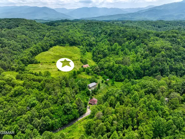 14255 Lower Powdermill Road, Sevierville, TN 37876