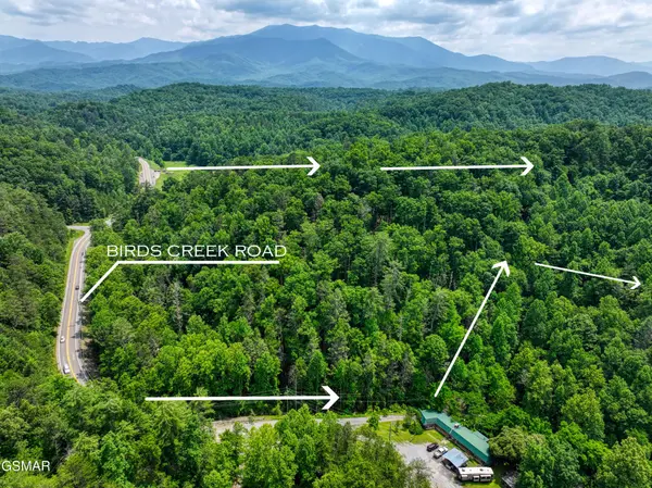 1 Birds Creek Road, Gatlinburg, TN 37738