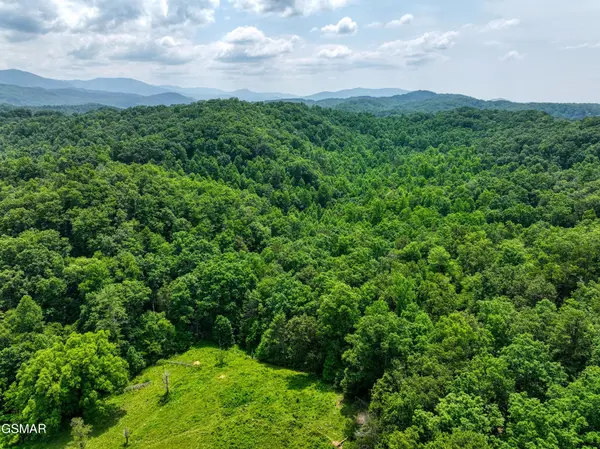 1 Birds Creek Road, Gatlinburg, TN 37738