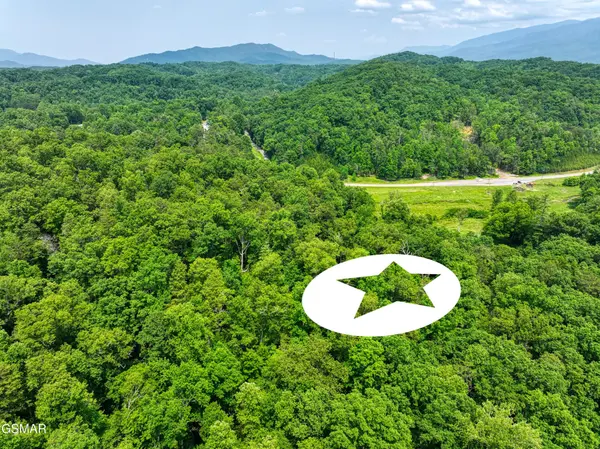 0 Birds Creek Road, Gatlinburg, TN 37738