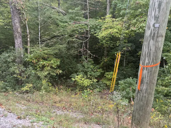 27 Pinnacle Vista Road, Gatlinburg, TN 37738