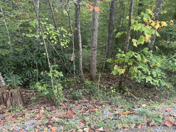 27 Pinnacle Vista Road, Gatlinburg, TN 37738