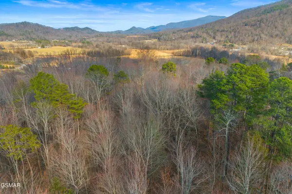 4121 Chavis Road, Cosby, TN 37722
