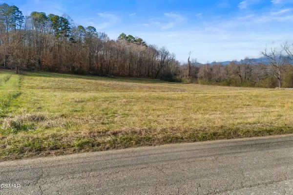 4121 Chavis Road, Cosby, TN 37722