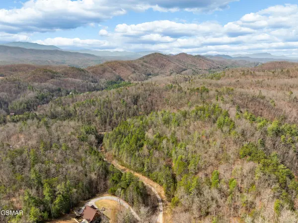 14 Mossy Cove Way, Sevierville, TN 37876