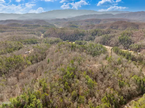 14 Mossy Cove Way, Sevierville, TN 37876