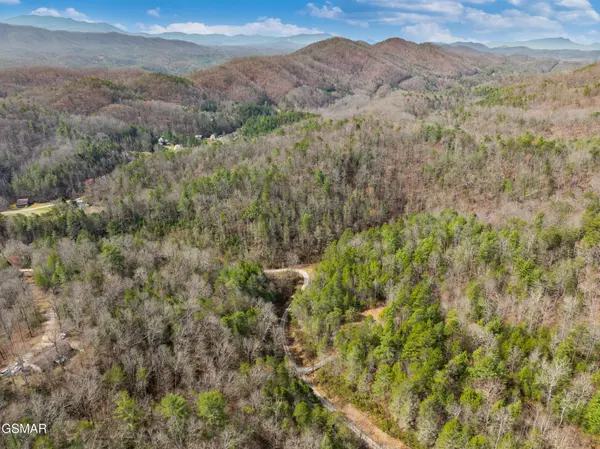 14 Mossy Cove Way, Sevierville, TN 37876
