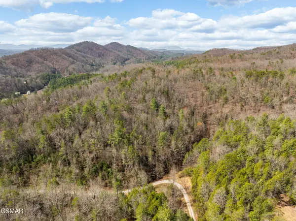 14 Mossy Cove Way, Sevierville, TN 37876