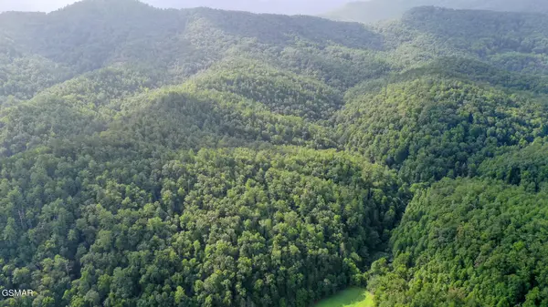 0 Bethel Church Road, Townsend, TN 37882