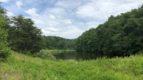 4162283 Snyder Road and Bartlett Drive, Kodak, TN 37764