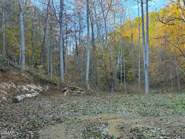 7 Topaz Way, Parrottsville, TN 37843
