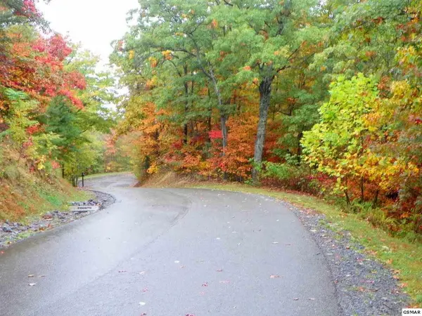 19 Laurel Top Way, Gatlinburg, TN 37738