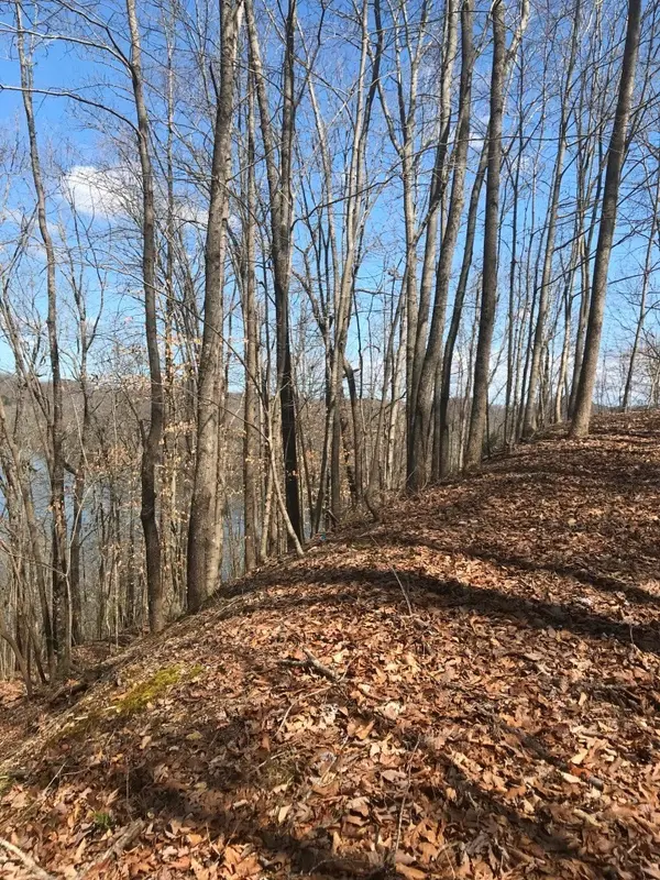 0 Marsh Road, Smithville, TN 37166