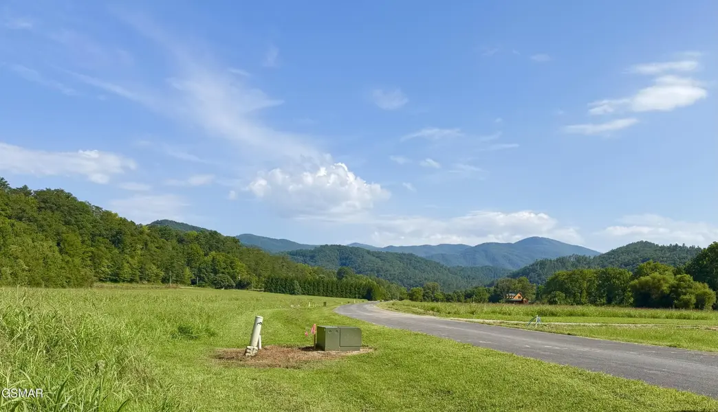 146 River Rapids Way, Del Rio, TN 37727