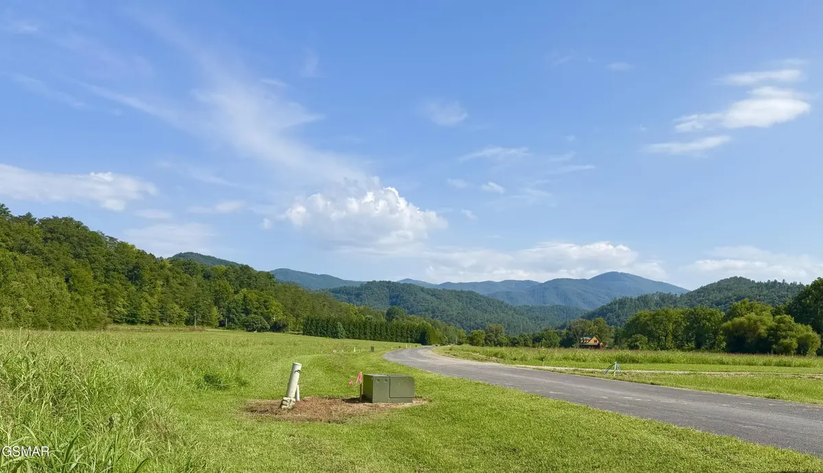 146 River Rapids Way, Del Rio, TN 37727