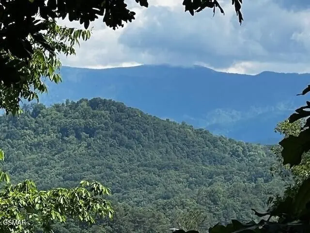 0 Chinquapin Drive, Sevierville, TN 37862