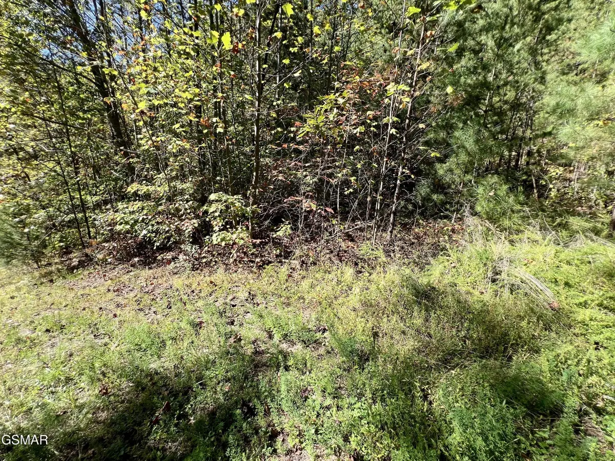 561 Creek Hollow Way, Sevierville, TN 37876