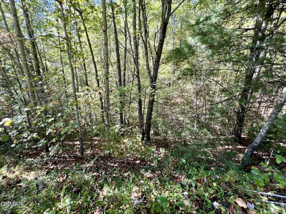 6 Creek Hollow Way, Sevierville, TN 37876