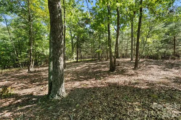 686 Palisade TRCE, Denton, NC 27239