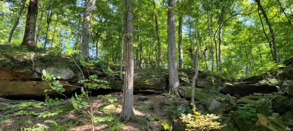 Lot 4 Stephanie CT, Solsberry, IN 47459