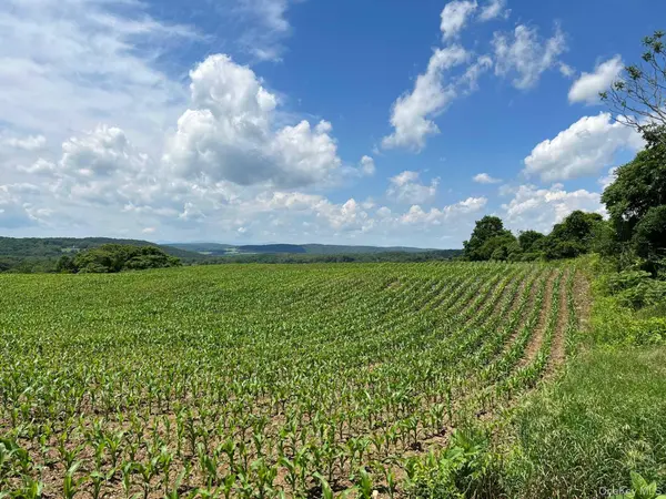 ROUTE 82, Ancramdale, NY 12503