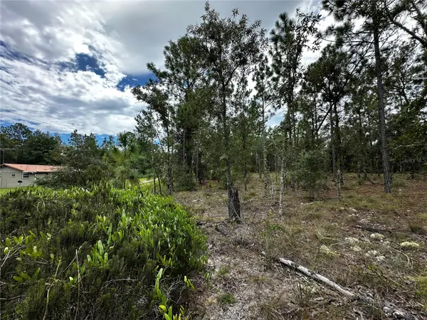 0000 NE 149TH CT, Williston, FL 32696