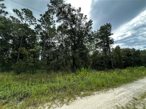 0000 NE 155TH CT, Williston, FL 32696