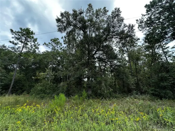 0000 NE 155TH CT, Williston, FL 32696