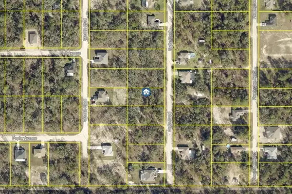 LOT 16 GREBE RD, Weeki Wachee, FL 34614