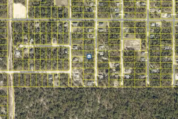LOT 16 GREBE RD, Weeki Wachee, FL 34614