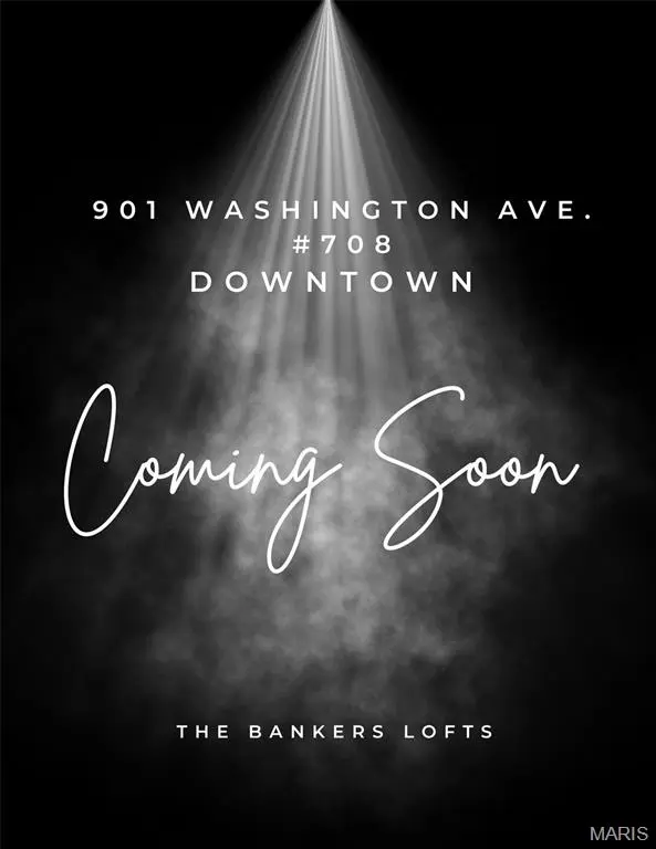 901 Washington AVE #708, St Louis, MO 63101